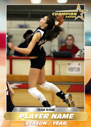 Volleyball - Indoor