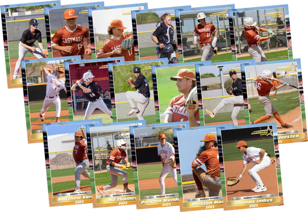 17 Card Eastmark Firebirds Team Set
