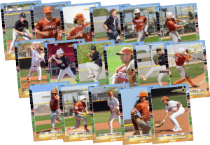 17 Card Eastmark Firebirds Team Set