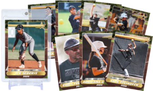 Desert Mountain Softball Collage
